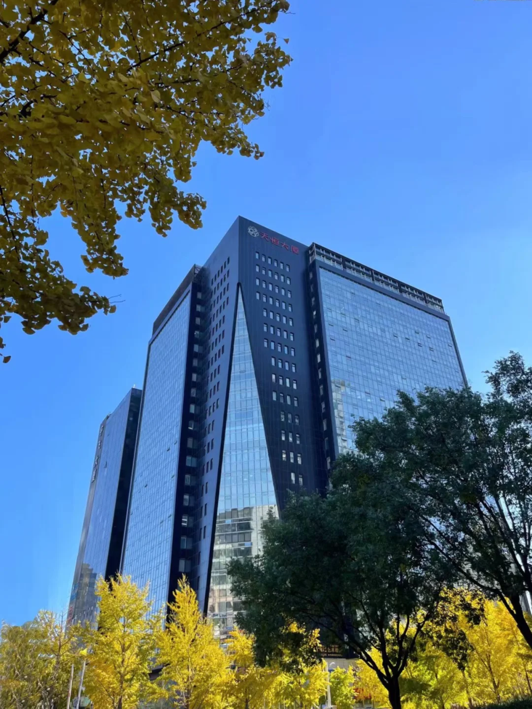 天正建筑手机版天正建筑软件手机版