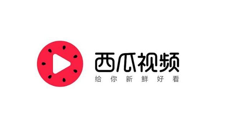 西瓜播放器手机版西瓜播放器下载最新版-第2张图片-太平洋在线下载