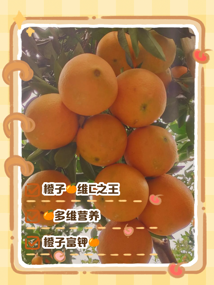 橙子看看安卓版橙子游戏平台官网-第2张图片-太平洋在线下载