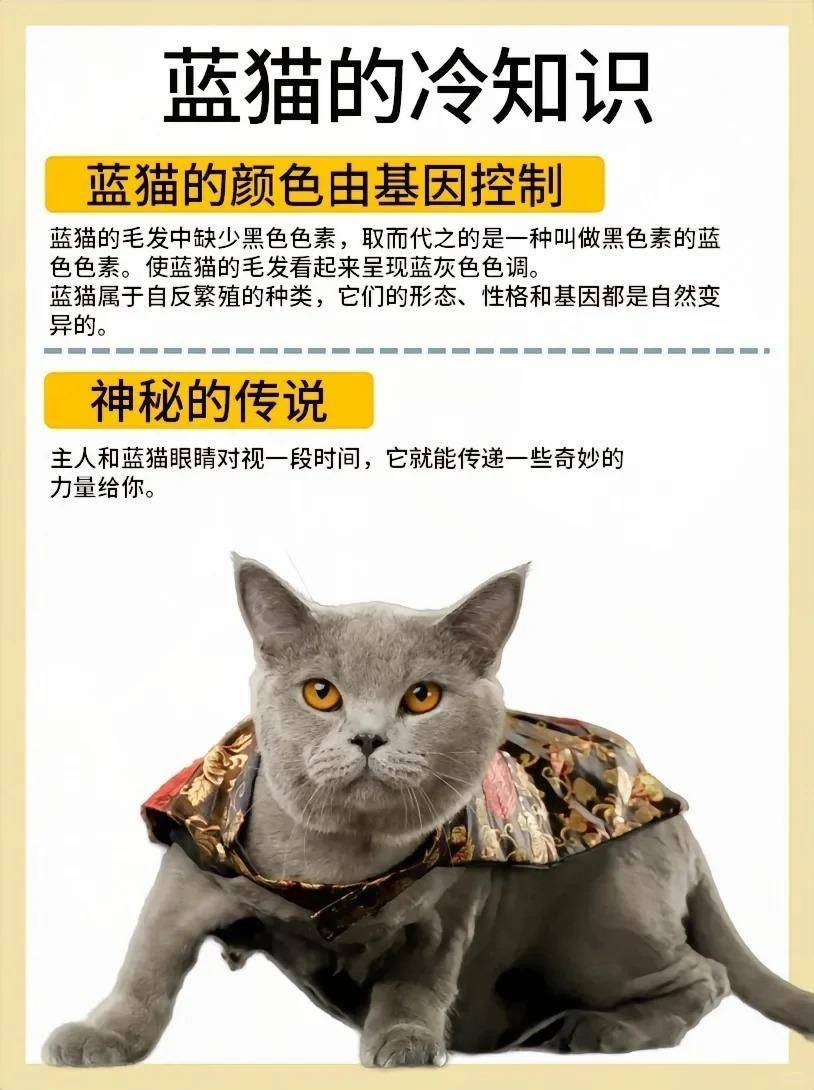 蓝猫苹果版蓝猫淘气三千问-第1张图片-太平洋在线下载